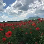 Izabella Vendeghaz Balatonrendes