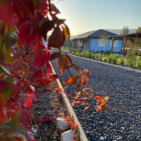 Izabella Vendeghaz *