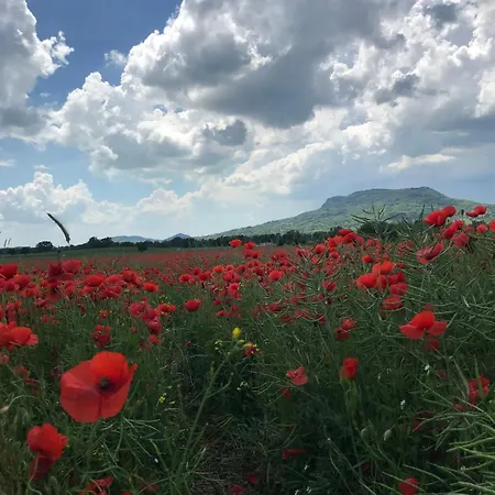 Izabella Vendeghaz Balatonrendes