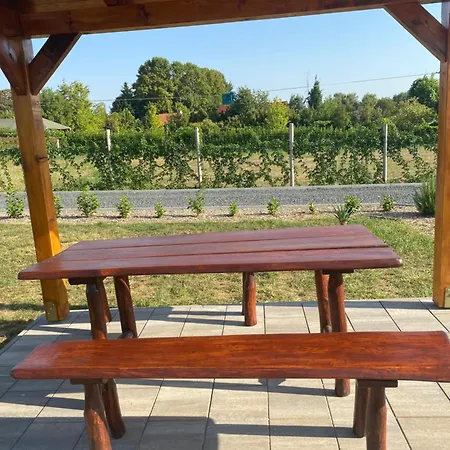 Izabella Vendeghaz דירה