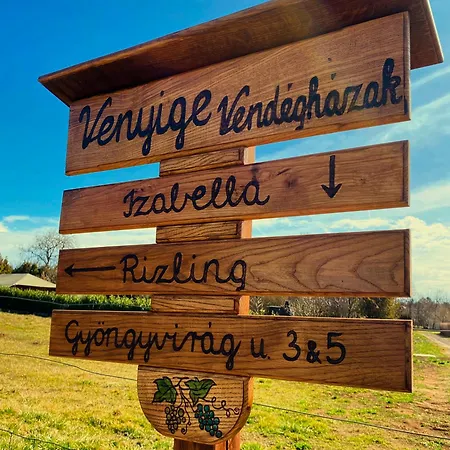 Izabella Vendeghaz Balatonrendes