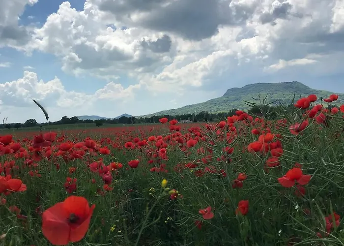Izabella Vendeghaz Balatonrendes